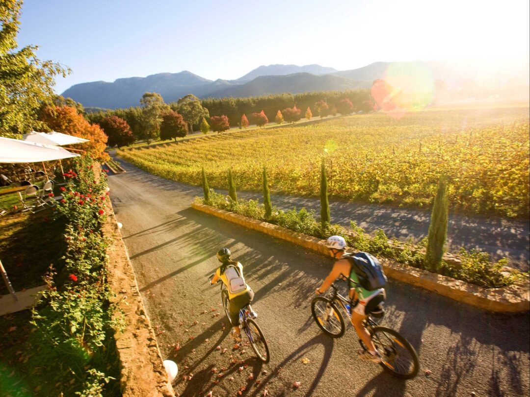 Electric Bike Touring The Murray to the Mountains Rail Trail, Australia