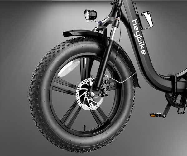 Dual Shock Absorbers