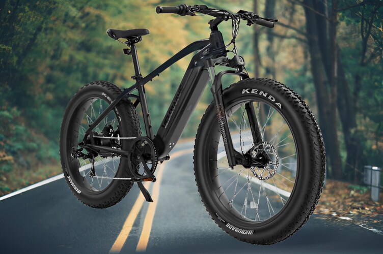 VELOWAVE Electric Bike for Adults 750W